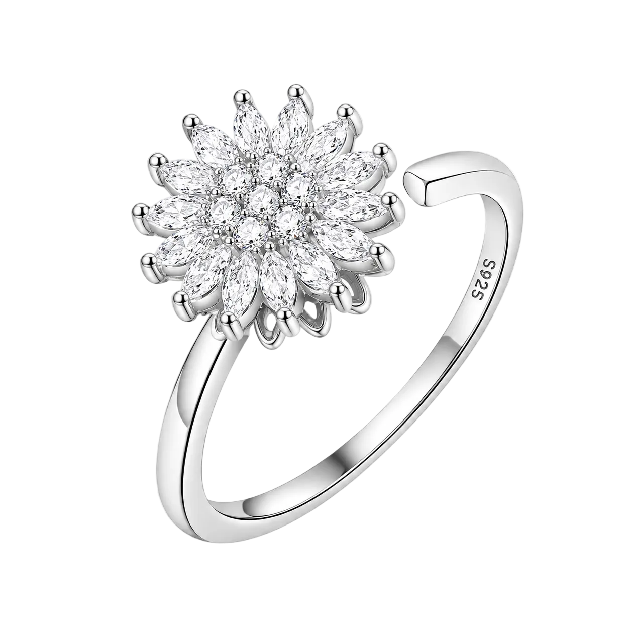 Earth (Silver)